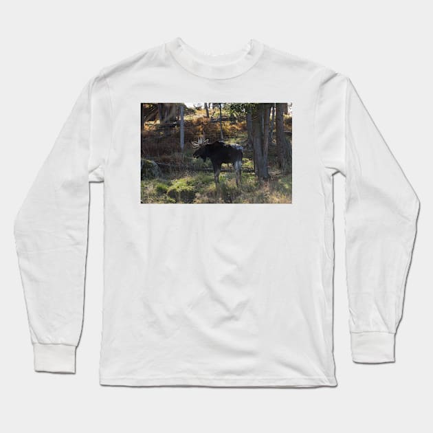 Large Moose in the woods Long Sleeve T-Shirt by josefpittner